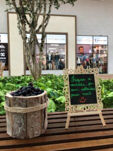 Ação das Jabuticabas no Porto Belo Outlet Premium